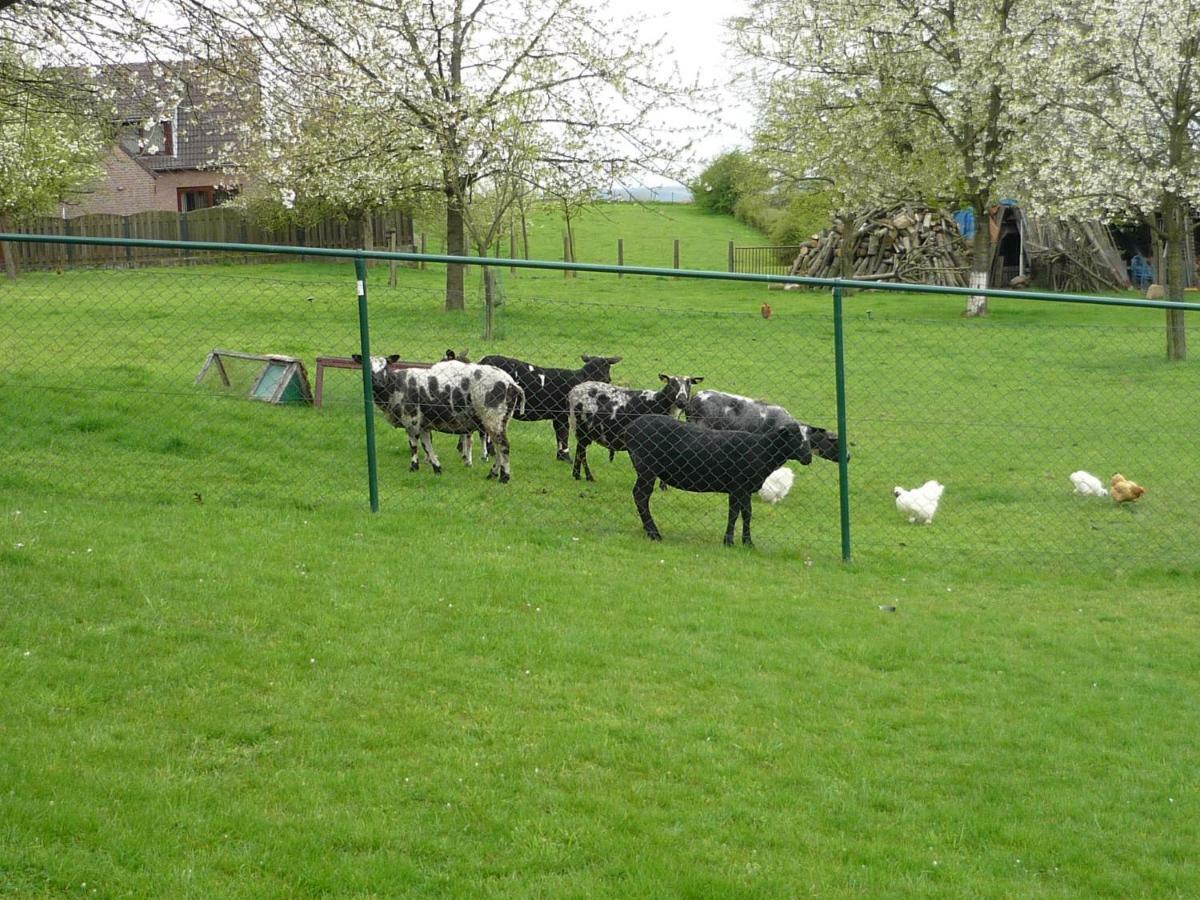 Hoeve Mingels Banholt Exterior foto