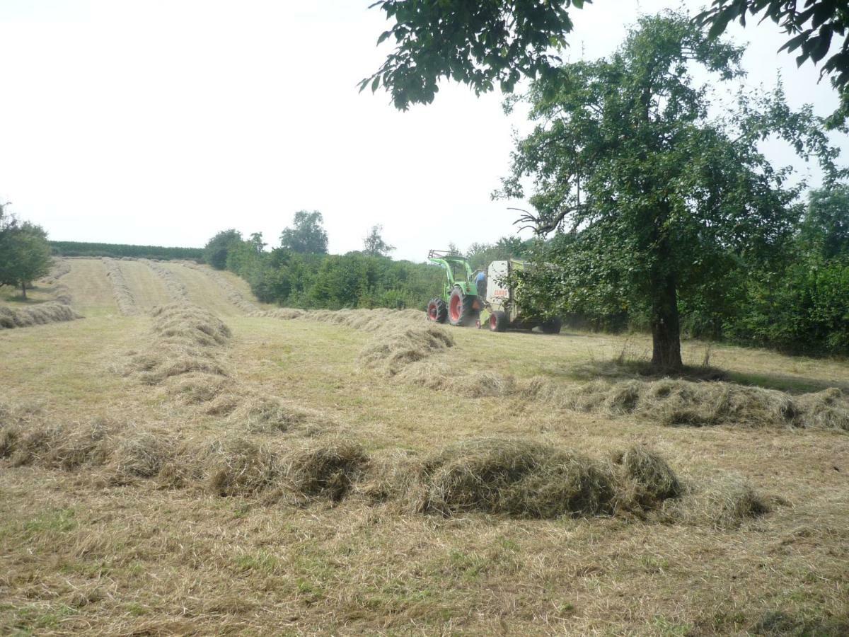 Hoeve Mingels Banholt Exterior foto